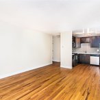 Studio, 1 bath, 300 sqft, $1,250