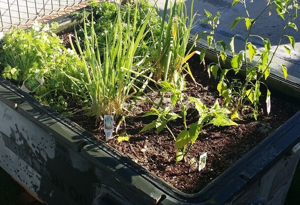 1 bed, 1 bath, 500 sqft, $1,495, Unit 104