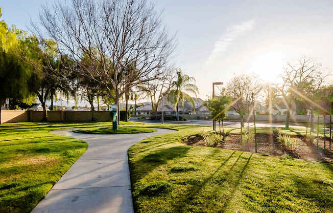 A sunny day in a park with a walking path.