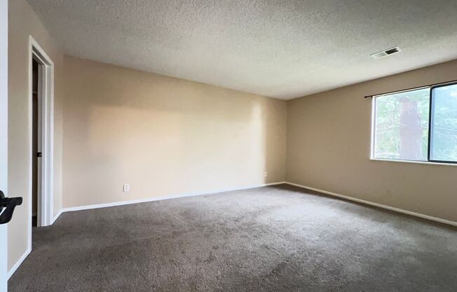 1 bed, 1 bath, $1,600, Unit Unit 202