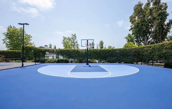 Large Basketball Court at Harbor Pointe, Dana Point, CA
