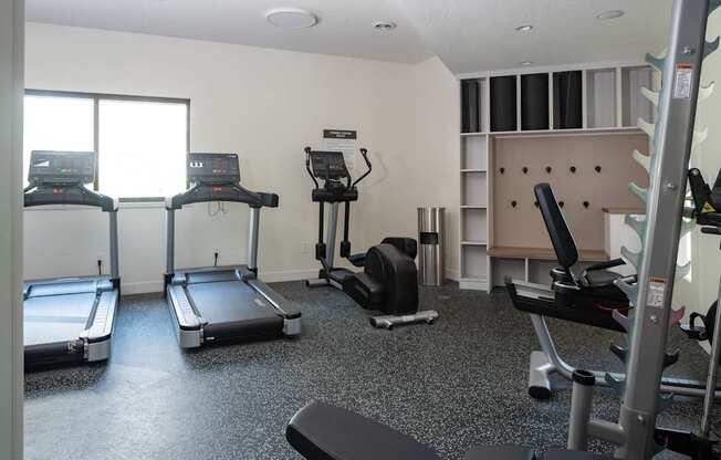 A gym with treadmills, elliptical machines, and weights.