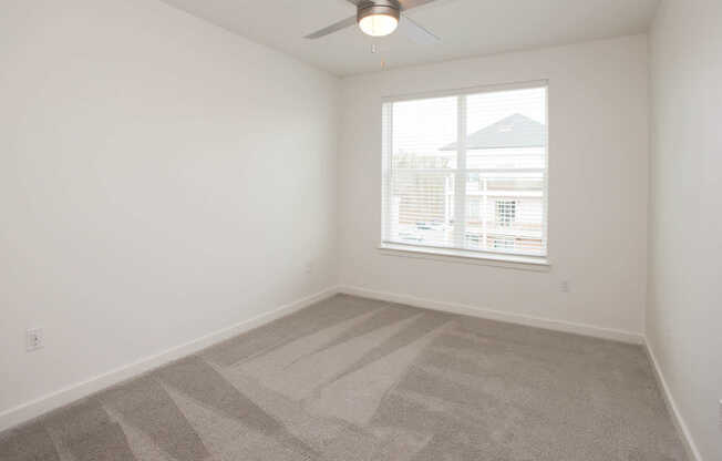 Carpeted Bedroom