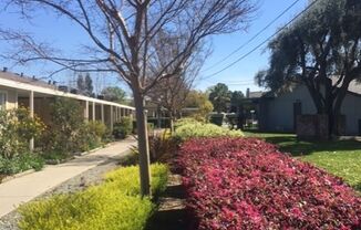 Wonderful light and bright, immaculate 2 bd 1 bath in Peaceful 55+ Community in San Ramon!