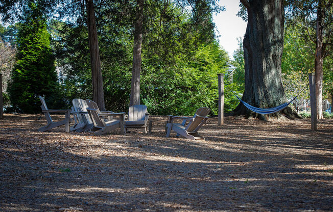 a group of chairs and hammocks in a park