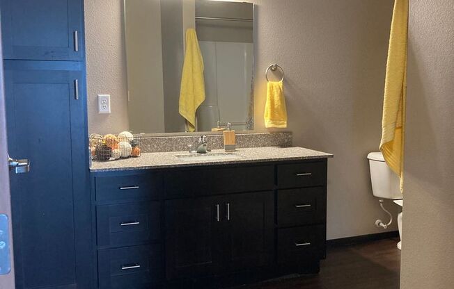 1 bed, 1 bath, 797 sqft, $1,525, Unit 5103