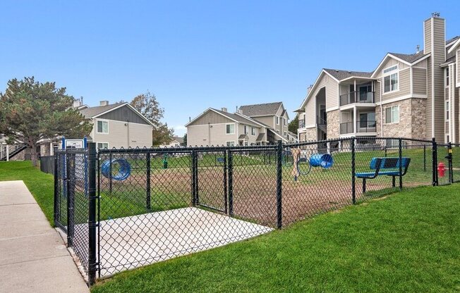 Fenced in dog park