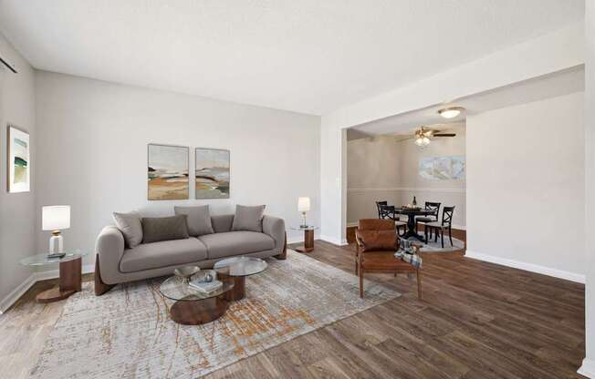 Spacious Living Area With Wood-Style Flooring