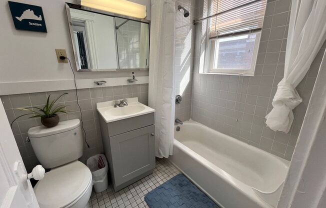 Studio, 1 bath, 475 sqft, $2,500, Unit 44