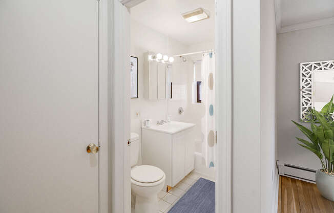 1 bed, 1 bath, 700 sqft, $2,895