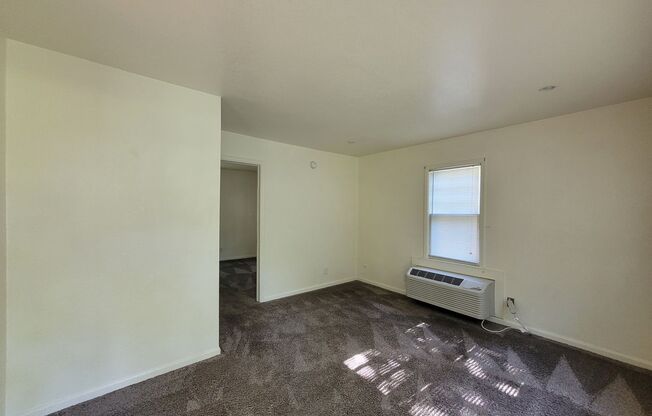 1 bed, 1 bath, $595