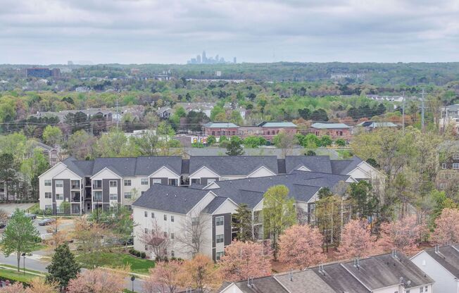 2 beds, 2 baths, 1,080 sqft, $1,299, Unit Model