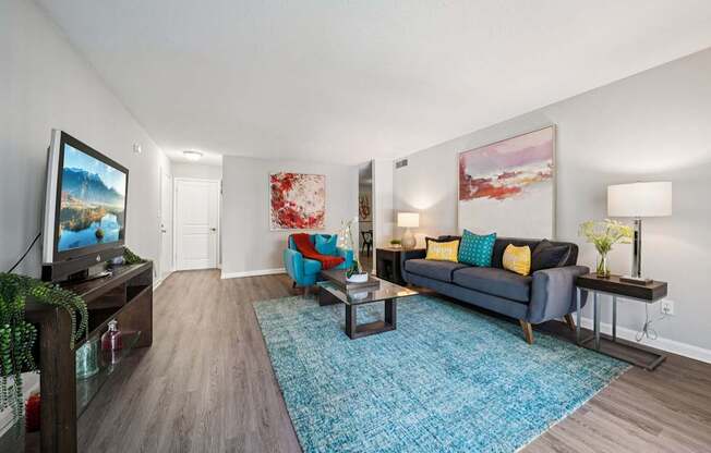A living room with a blue rug and a grey couch.