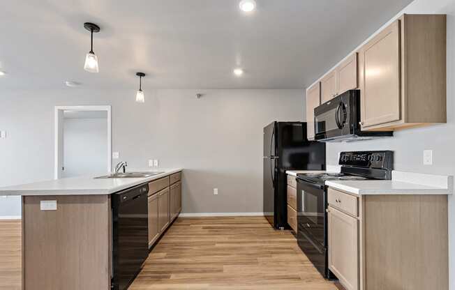 kitchen with black appliances