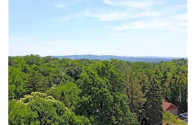 1 bed, 1 bath, 623 sqft, $1,000, Unit C63