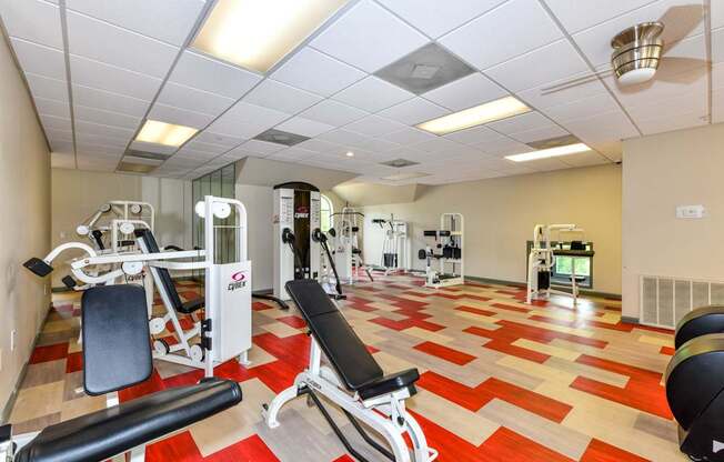 Modern Fitness Center at Park at Forest Hill, Tennessee, 38125