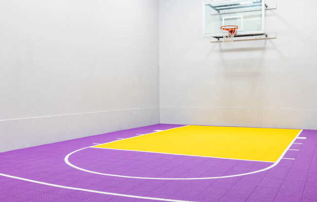 Basketball Court