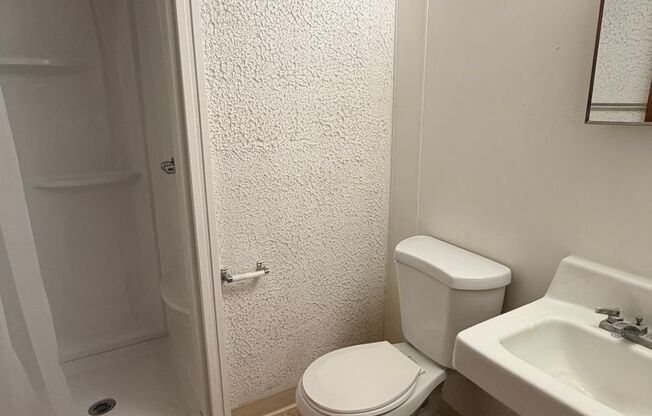 Studio, 1 bath, 450 sqft, $1,195, Unit 102