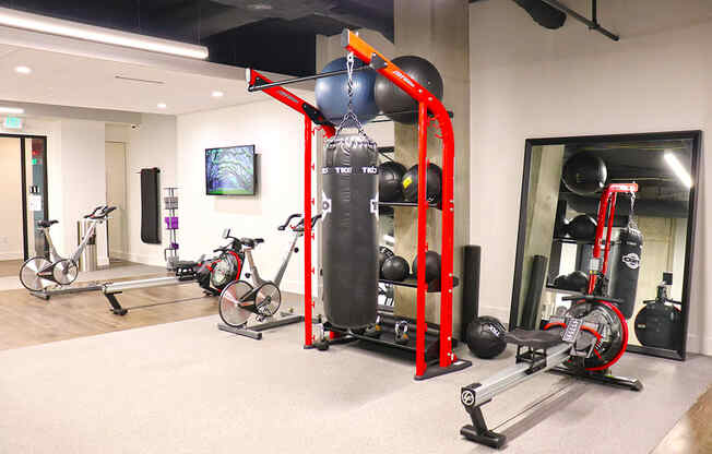 Euclid fitness center row machine, heavy bag and medicine balls.