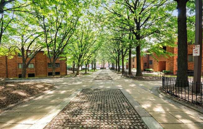 Westview on the Avenue