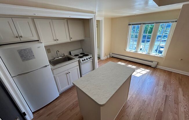 Studio, 1 bath, 370 sqft, $895, Unit A-39