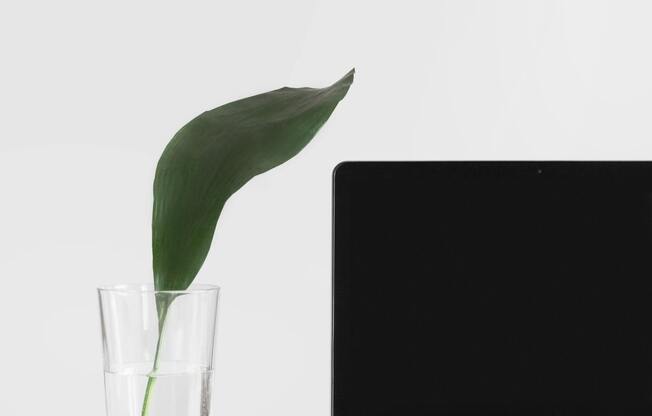 A computer with a glass of water sitting next to it. There is a leaf in the glass of water and the computer screen is black.
