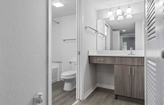 a bathroom with a toilet and a sink and a mirror