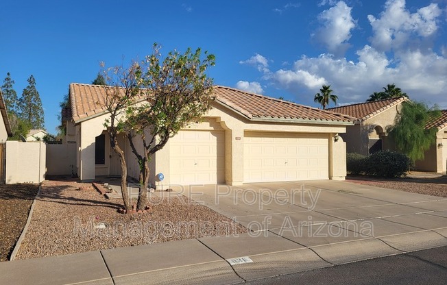 935 S CAMELLIA