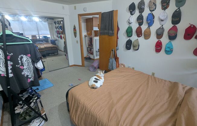 1 bed, 1 bath, 620 sqft, $1,450, Unit 215