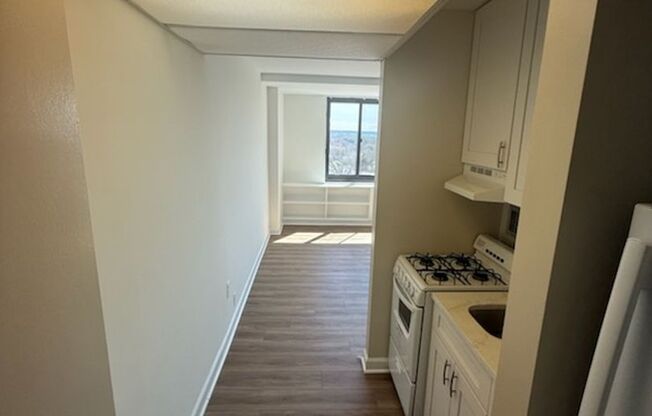 Updated Studio Apartment with AMAZING D.C. View