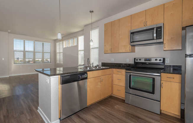 Kitchen and Living Area with Hard Surface Flooring