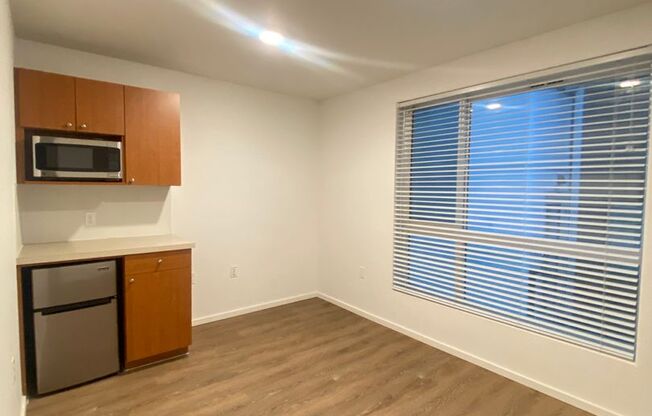 Studio, 1 bath, 176 sqft, $1,205, Unit 5205