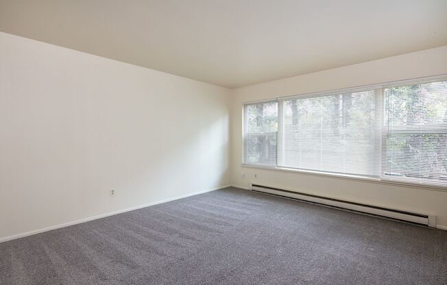 Avante Apartments - Charming, Centrally Located Building with Off Street Parking!