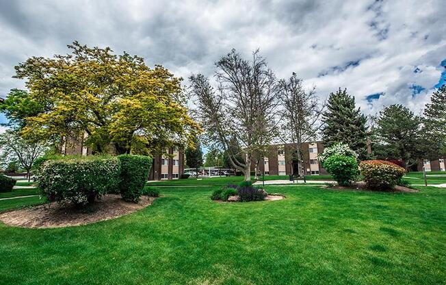 A green lawn with a yellow tree and a building in the background.