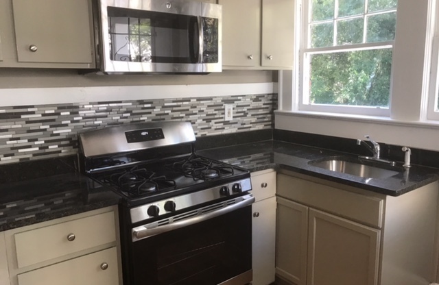 Gorgeous renovated 2 bedroom/1 bath in heart of Atlanta
