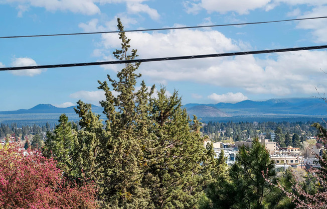 Beautiful two-story house on .28 acres with two bonus rooms, fully fenced backyard, and a triple-bay detached garage.