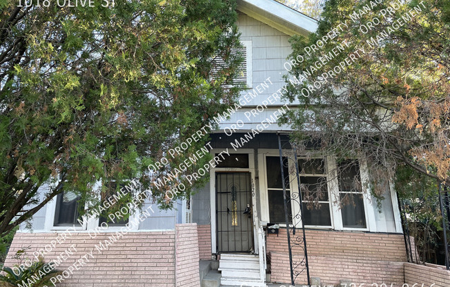 1018 OLIVE ST