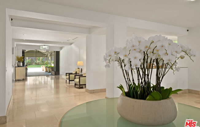 2 beds, 1 bath, 980 sqft, $3,700, Unit 539