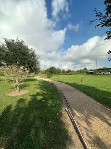 A tree is on the left side of a grassy area.