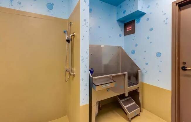 Ballard Lofts Community Amenities Dog Wash