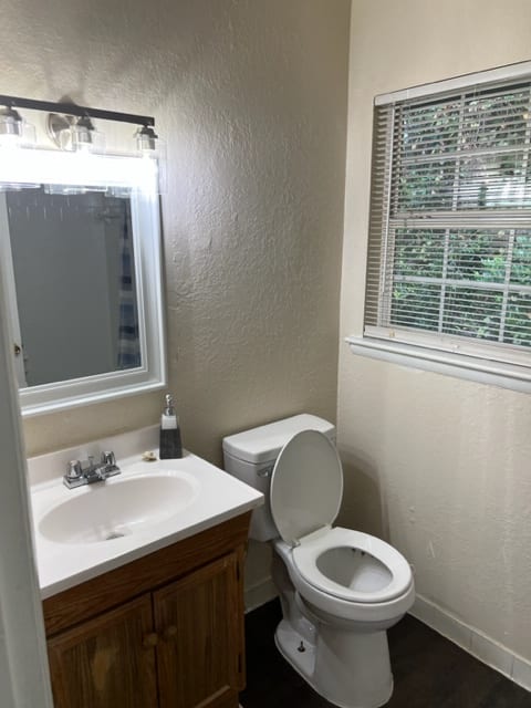 a bathroom with a toilet a sink and a mirror