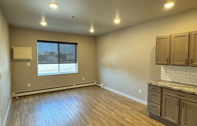 1 bed, 1 bath, 624 sqft, $900, Unit 205