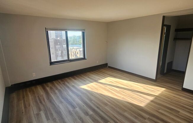Studio, 1 bath, 336 sqft, $1,065, Unit 316-902