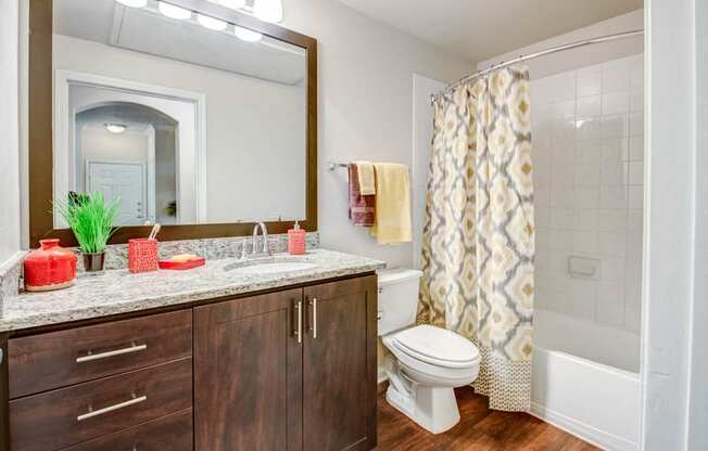 Bathroom with framed mirror and wood-style flooring