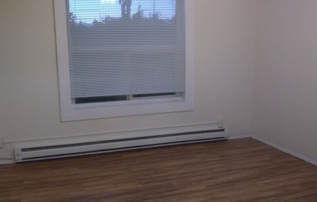 Studio, 1 bath, 334 sqft, $1,095, Unit 307