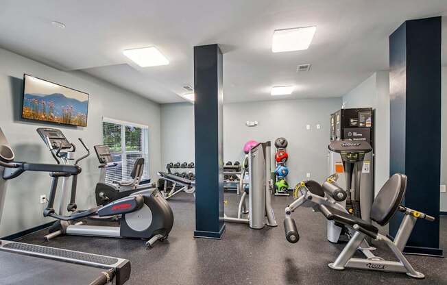 A gym with a variety of equipment including treadmills, weights, and exercise machines.