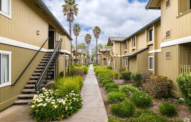 a view of the pathway between the units of an apartment complex at THE MEADOWS, Santa Rosa, California