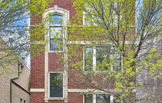 1511-Chestnut