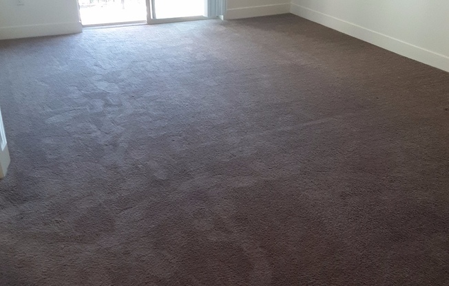 1 bed, 1 bath, 705 sqft, $1,250, Unit 312