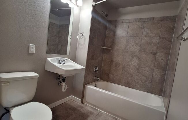 Studio, 1 bath, 477 sqft, $1,390, Unit Unit 307